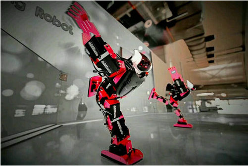南京科技馆机器人展