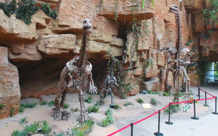 南京地质博物馆禄丰龙化石模型