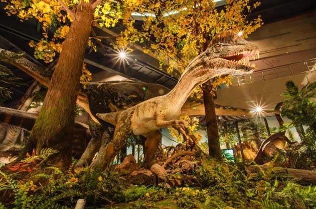 湖南省地质博物馆恐龙