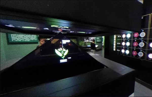 隆平水稻博物馆360度全息投影